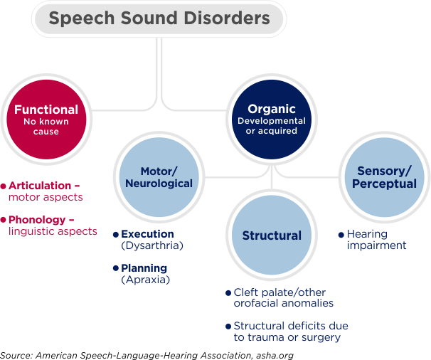 Speech Sound Disorders